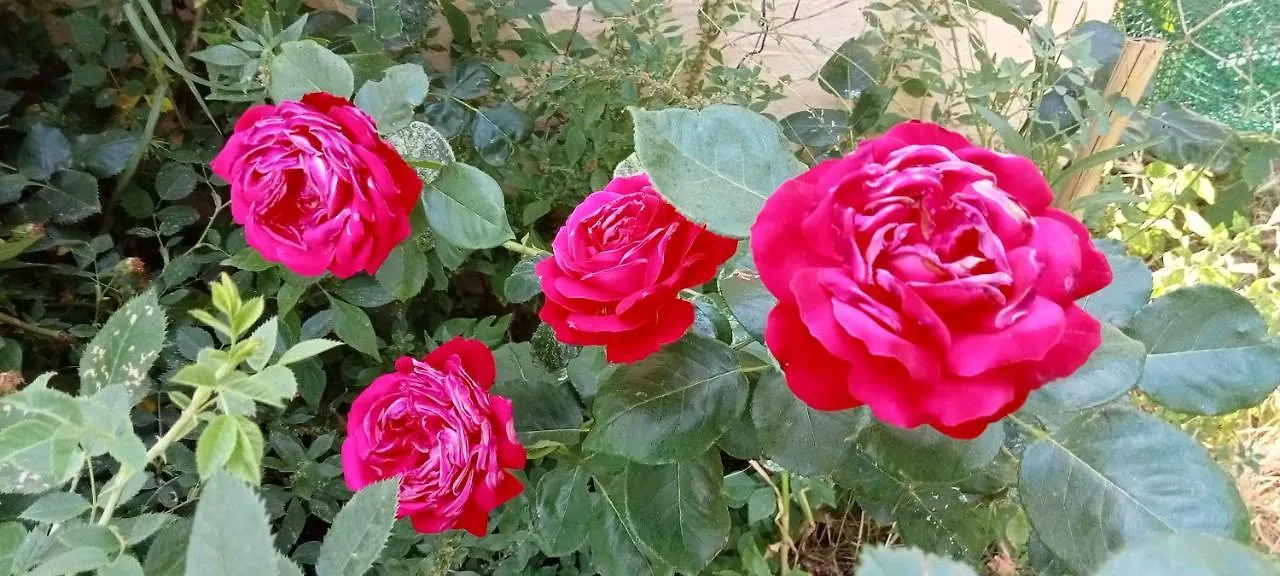Appartement Piano Loft Turismo Rural Costa Brava-Vilanova De La Muga Espagne